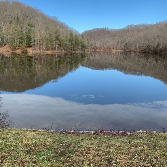 Meet your Posher, Randall - Picture 2 of 2